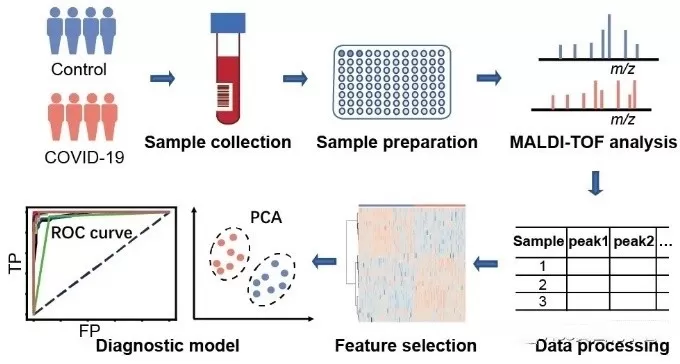 Experimental process of pepyide mass fingerprinting